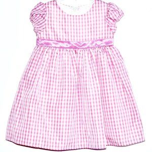 Sophie Rose Pink Gingham Check Dress with Short Sleeves - 18 Months